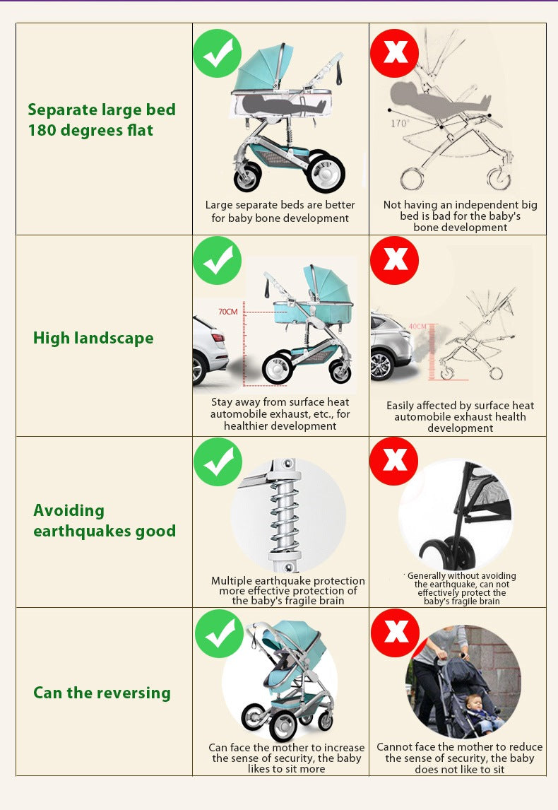 2 in 1 Luxury baby stroller - High Landscape Pram